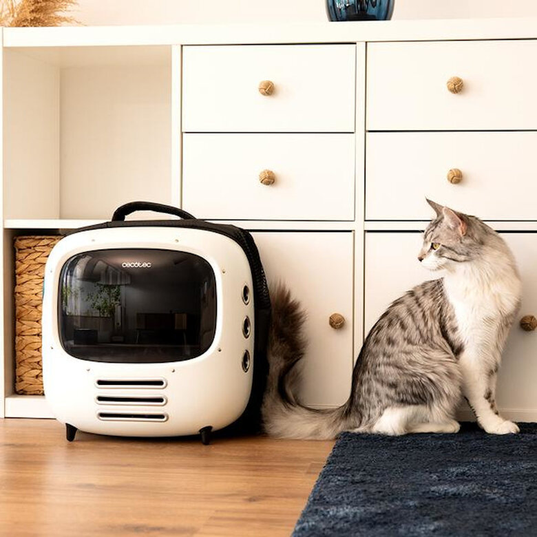 Cecotec Pumba 1800 Travel Fan Transportadora para cães e gatos,  Imagem número 7 Cecotec Pumba 1800 Travel Fan Transportadora para cães e gatos, , large Imagem número 7