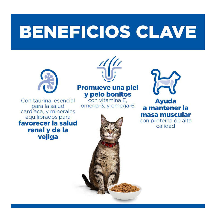 7 kg Hill's Science Plan Adult Ra&ccedil;&atilde;o de salm&atilde;o para gatos, , large Imagem n&uacute;mero 5