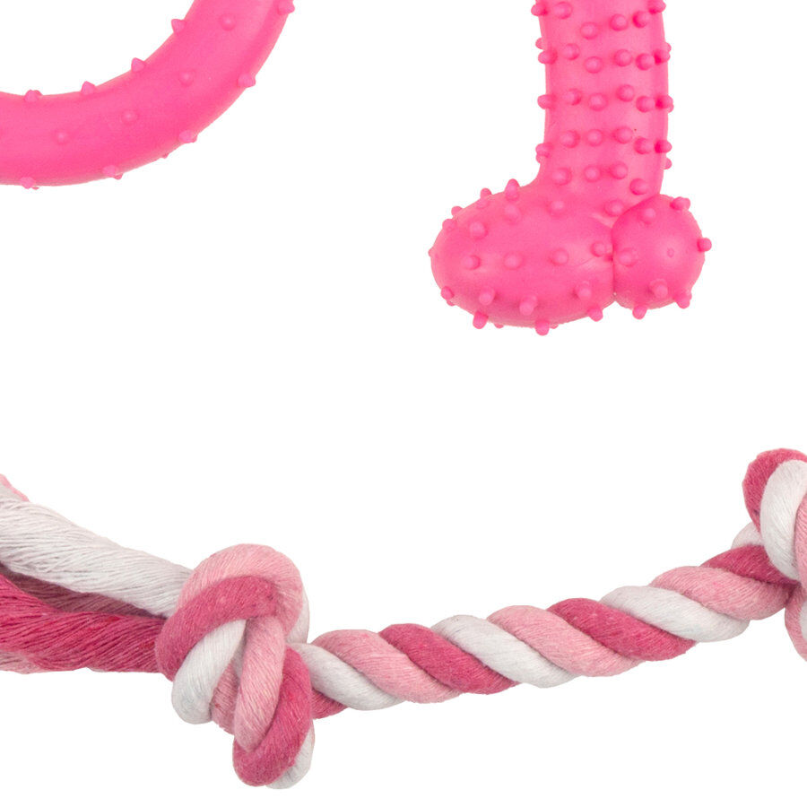 Tootoy! Chew Teething Rosa Conjunto de mordedores para cachorros, , large Imagem n&uacute;mero 3