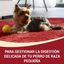 Purina One Adult Mini Bifensis Sensitive Salmão e Arroz ração para cães, , large Indicador imagem número 2