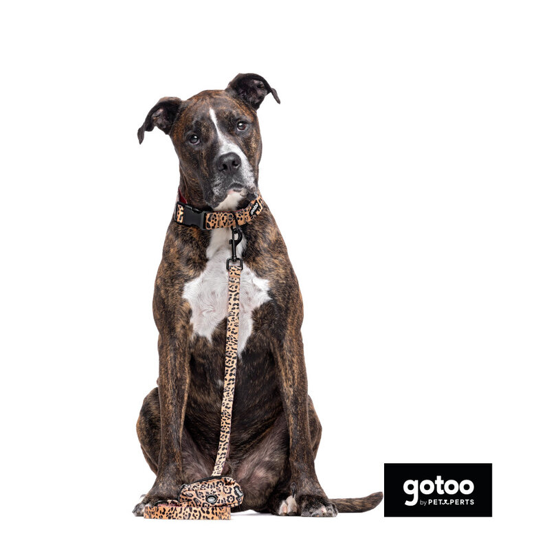 Gotoo Trela estampada leopardo castanha para cães,  Imagem número 3 Gotoo Trela estampada leopardo castanha para cães, , large Imagem número 3