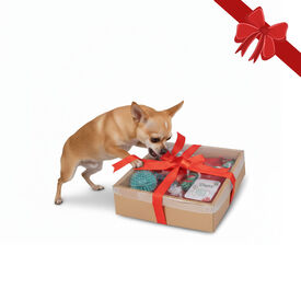 Wonder Christmas Caixa de Brinquedos de Natal para Cães