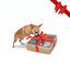 Wonder Christmas Caixa de Brinquedos de Natal para Cães, , large Indicador imagem número 1
