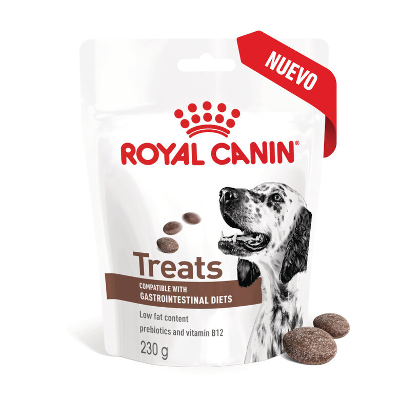 230 g Royal Canin Treats Gastrointestinal Snacks para cães,  Imagem número 2 230 g Royal Canin Treats Gastrointestinal Snacks para cães, , large Imagem número 2
