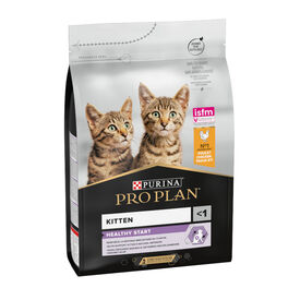Pro Plan Junior Frango ração para gatos