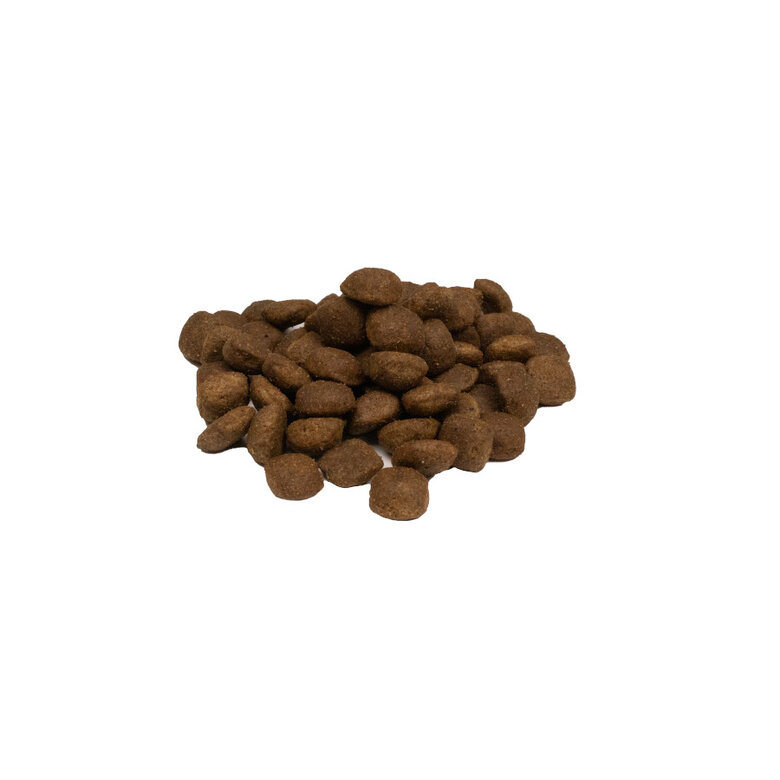 2 kg Weego Grain Free Light Gourmet Perú ração para cãess ,  Imagem número 2 2 kg Weego Grain Free Light Gourmet Perú ração para cãess , , large Imagem número 2