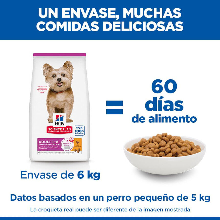 10 kg Hill's Science Plan Small Y Mini Adult Frango ra&ccedil;&atilde;o para c&atilde;es, , large Imagem n&uacute;mero 6