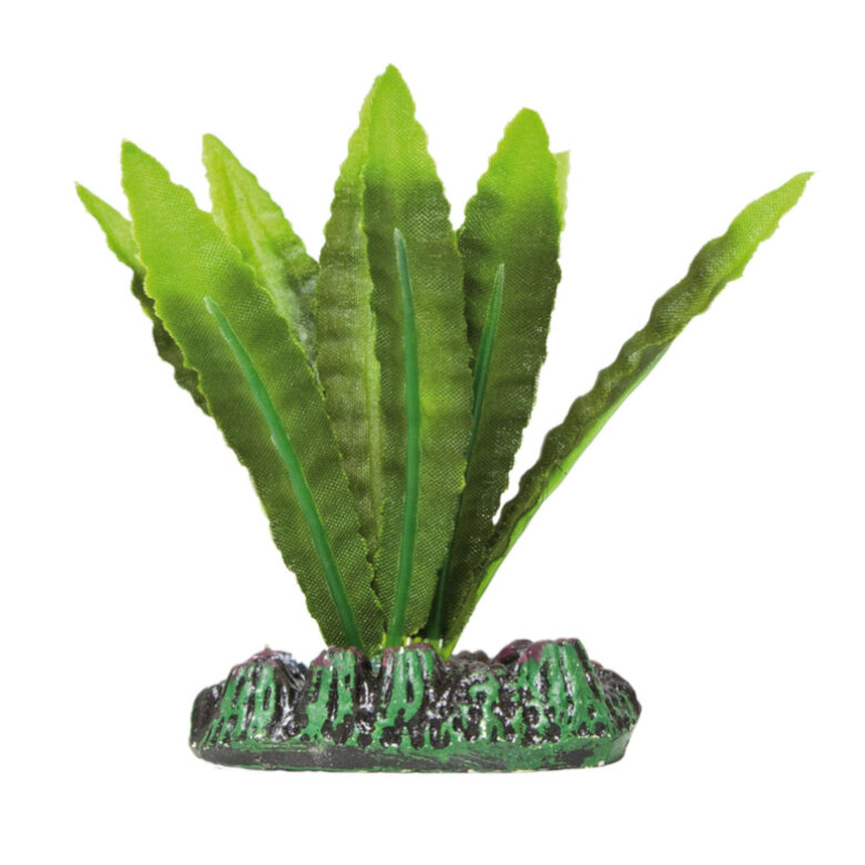 ICA Aquatic Plants Planta Artificial Aponogeton para aquários,  Imagem número 1 ICA Aquatic Plants Planta Artificial Aponogeton para aquários, , large Imagem número 1