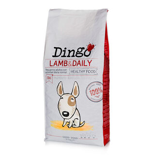Dingo Adult Borrego