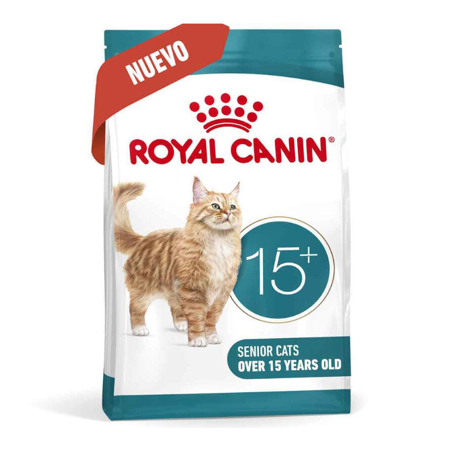 400 g Royal Canin Ageing +15 Ra&ccedil;&atilde;o para gato s&eacute;nior, , large Imagem n&uacute;mero 2