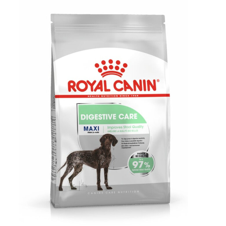 Royal Canin Maxi Digestive Care comida para cães, , large image number null