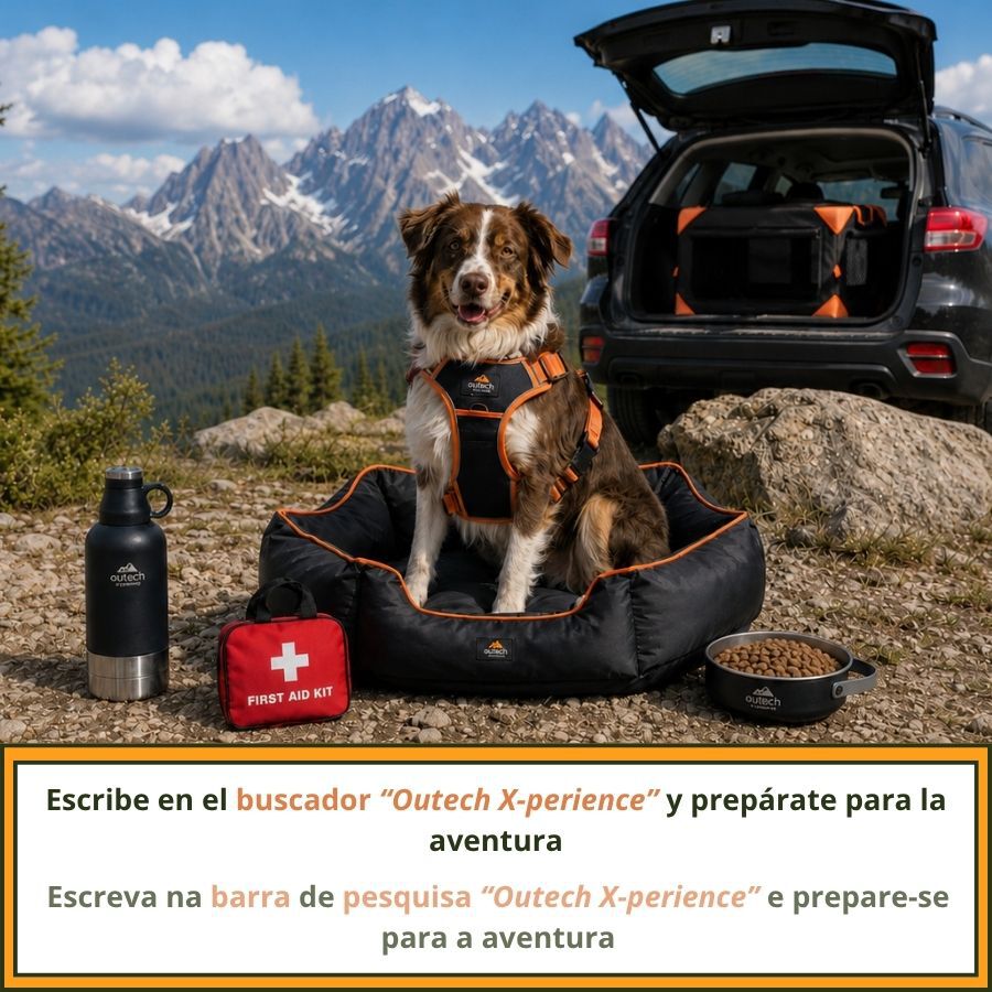 Outech X-perience Comedouro Port&aacute;til para c&atilde;es, , large Imagem n&uacute;mero 7