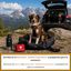Outech X-perience Comedouro Port&aacute;til para c&atilde;es, , large Indicador imagem n&uacute;mero 7