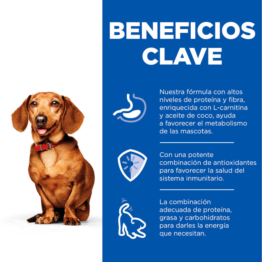 200 g Hill's Science Plan Adult Smalle Mini Perfect Weight Mousse de Peru em lata para c&atilde;es, , large Imagem n&uacute;mero 4