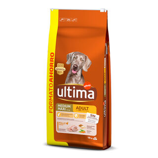 Affinity Ultima Adult  Medium / Maxi Frango ração para cães