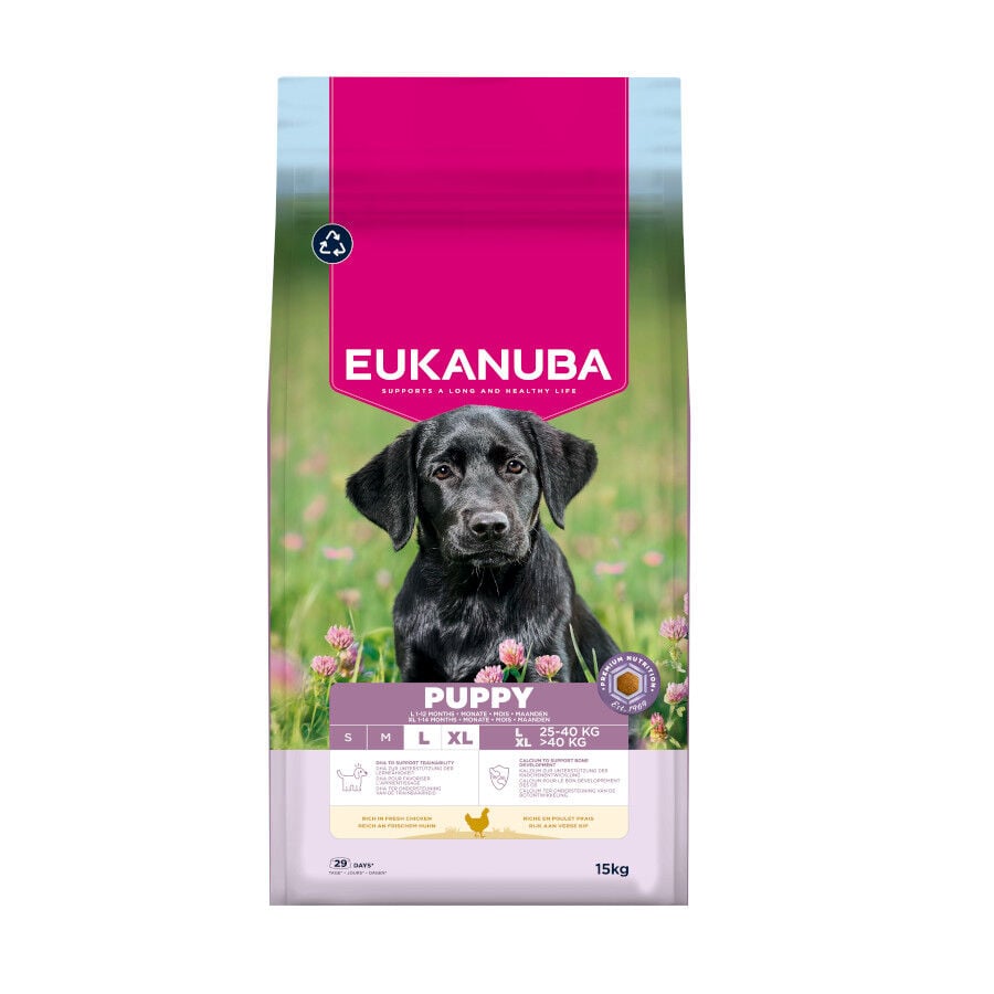 15 kg Eukanuba Puppy Large Breed Frango ra&ccedil;ao para c&atilde;es, , large Imagem n&uacute;mero 1