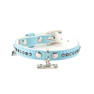 Freedog Coleira azul com tachas para cães