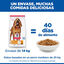 12 kg Hill's Science Plan Light Mature Adult 7+ Medium Frango ra&ccedil;&atilde;o para c&atilde;es, , large Indicador imagem n&uacute;mero 6
