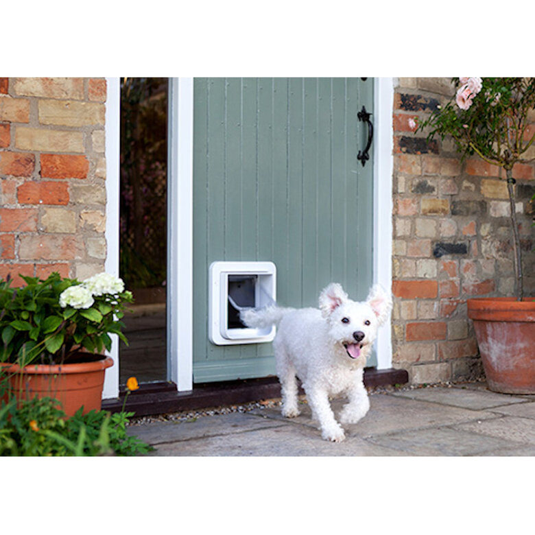 Sure Petcare Connect Porta com Microchip + Hub para cães e gatos,  Imagem número 2 Sure Petcare Connect Porta com Microchip + Hub para cães e gatos, , large Imagem número 2