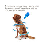 Beaphar FiproTec Pipetas Antiparasitárias para cães de raça pequena, , large image number null