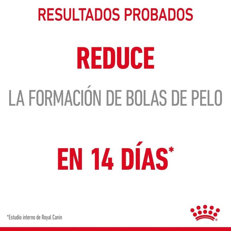 85 g Royal Canin Hairball alimento húmido em molho saquetas para gatos,  Imagem número 6 85 g Royal Canin Hairball alimento húmido em molho saquetas para gatos, , large Imagem número 6