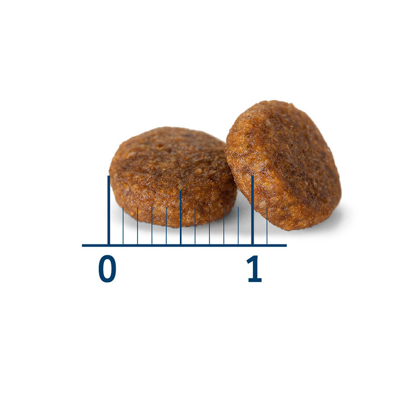 7 kg Nath Adult Mini Frango ração para cães,  Imagem número 3 7 kg Nath Adult Mini Frango ração para cães, , large Imagem número 3