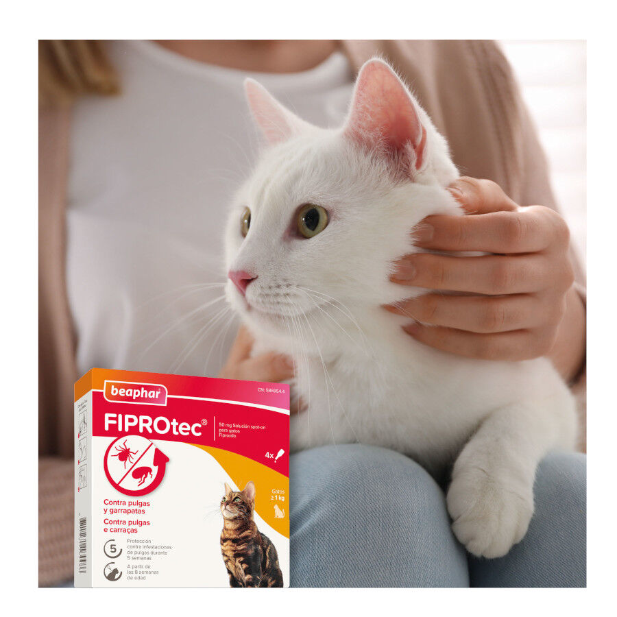 Beaphar Firprotec Pipetas antiparasit&aacute;rias para gatos, , large Imagem n&uacute;mero 8