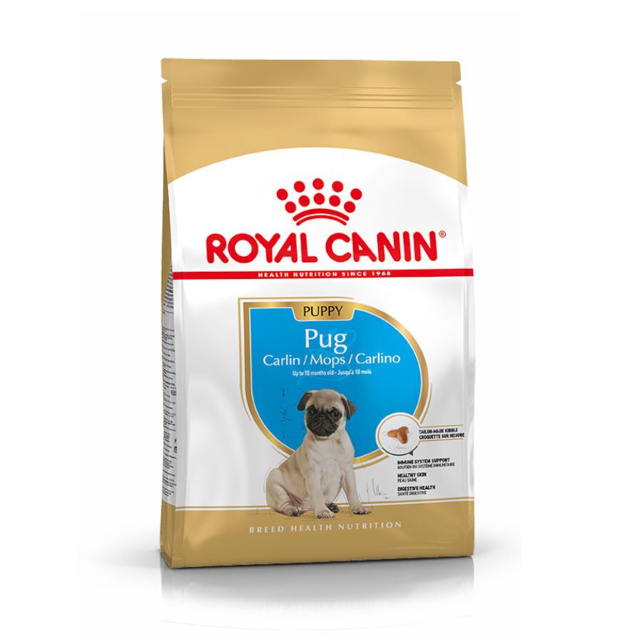 1.5 kg Royal Canin Puppy Pug ra&ccedil;&atilde;o para c&atilde;es, , large Imagem n&uacute;mero 1
