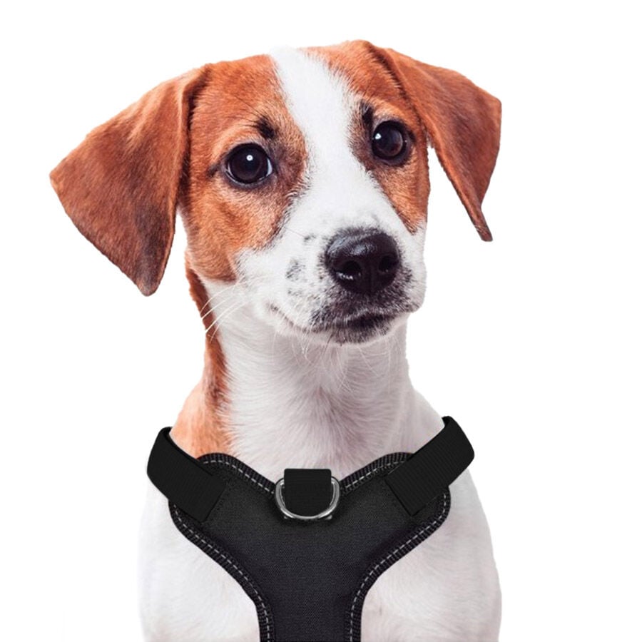 X-TRM Cronos Neon Flash Peitoral Preto para c&atilde;es, , large Imagem n&uacute;mero 2