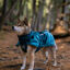 Non-stop Dogwear Glacier Casaco Imperme&aacute;vel Azul e Verde para c&atilde;es, , large Indicador imagem n&uacute;mero 2
