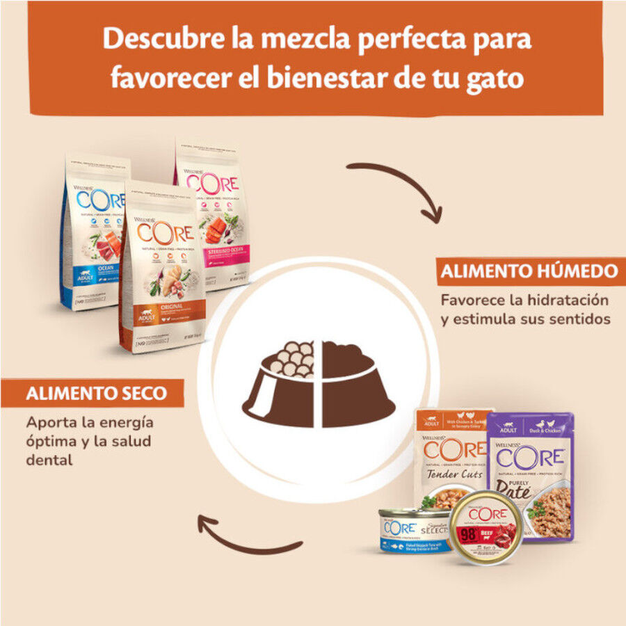  85 g Wellness Core Tender Cuts atum em molho saquetas para gatos, , large Imagem n&uacute;mero 4