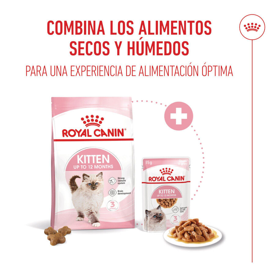 10 kg Royal Canin Kitten ra&ccedil;&atilde;o para gatos, , large Imagem n&uacute;mero 11