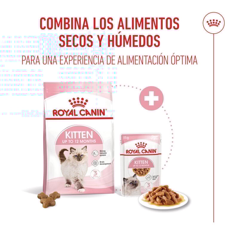 10 kg Royal Canin Kitten ração para gatos,  Imagem número 11 10 kg Royal Canin Kitten ração para gatos, , large Imagem número 11
