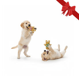 Wonder Christmas Brinquedo Super Gingerman de Natal para Cães,  Wonder Christmas Brinquedo Super Gingerman de Natal para Cães