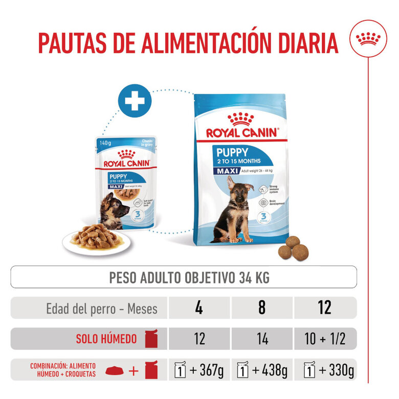 140 g Royal Canin Maxi Puppy Alimento húmido para cães,  Imagem número 7 140 g Royal Canin Maxi Puppy Alimento húmido para cães, , large Imagem número 7