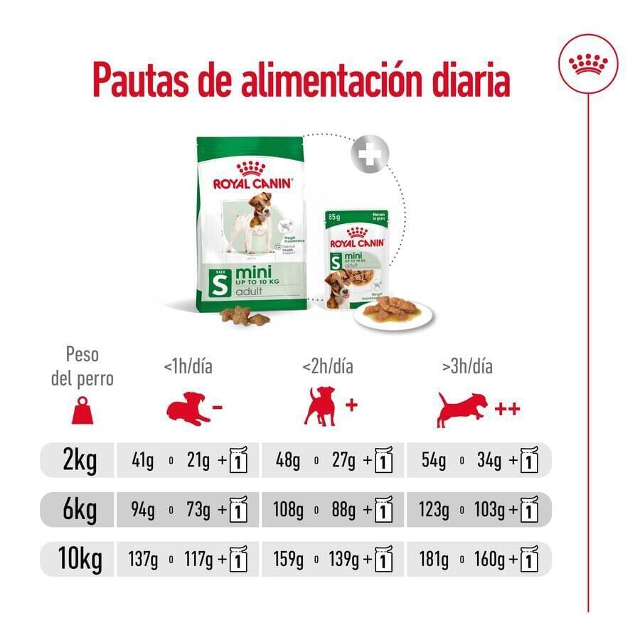 2 x 9 kg ( 8 + 1 kg &iexcl;gr&aacute;tis!) Royal Canin Mini Adult ra&ccedil;&atilde;o para c&atilde;es Pack poupan&ccedil;a!, , large Imagem n&uacute;mero 9