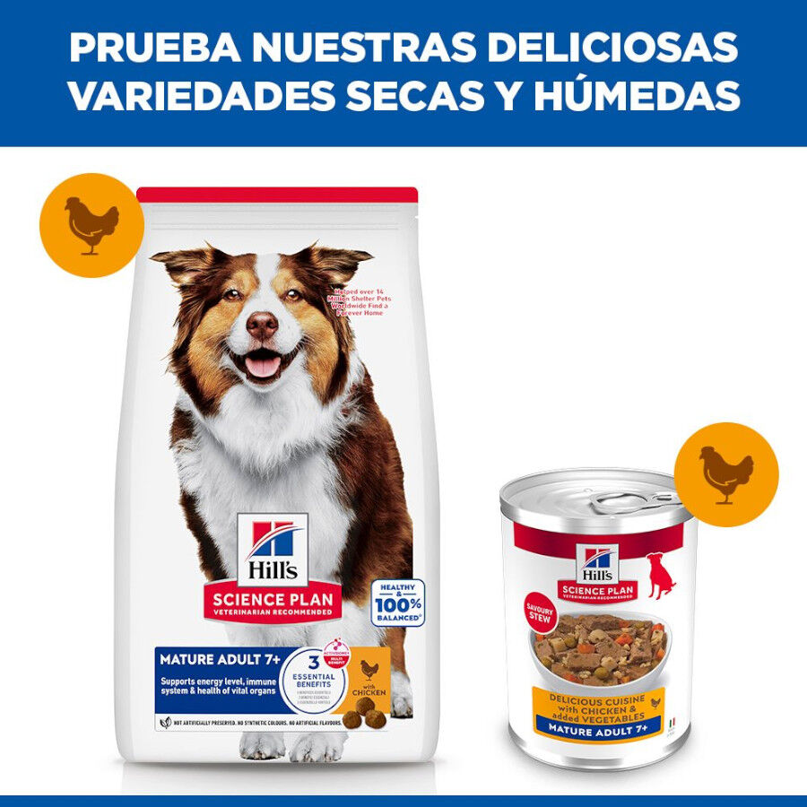 363 g Hill's Science Plan Mature Comida h&uacute;mida para c&atilde;es s&eacute;niores, , large Imagem n&uacute;mero 5