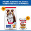 363 g Hill's Science Plan Mature Comida h&uacute;mida para c&atilde;es s&eacute;niores, , large Indicador imagem n&uacute;mero 5