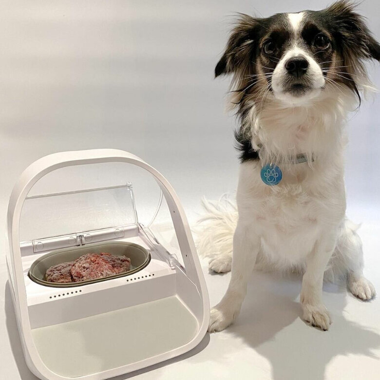 Sure Petcare Surefeed Comedouro Automático com Microchip,  Imagem número 6 Sure Petcare Surefeed Comedouro Automático com Microchip, , large Imagem número 6