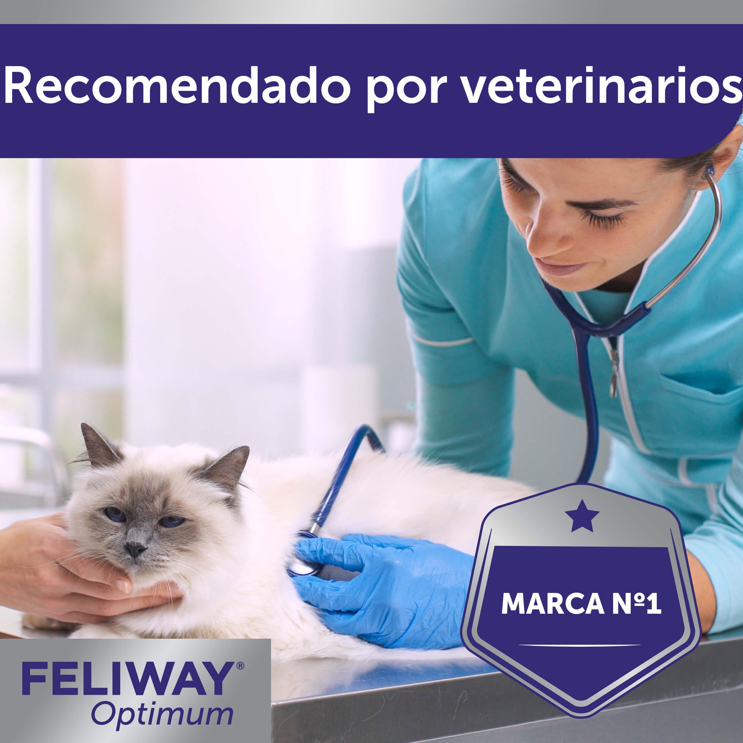 Feliway Optimum relaxante para gatos, , large Imagem n&uacute;mero 6