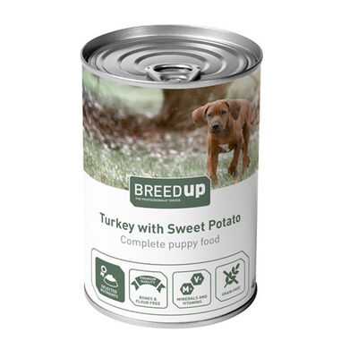 Breed Up Puppy Peru com Batata lata com galeia para cães