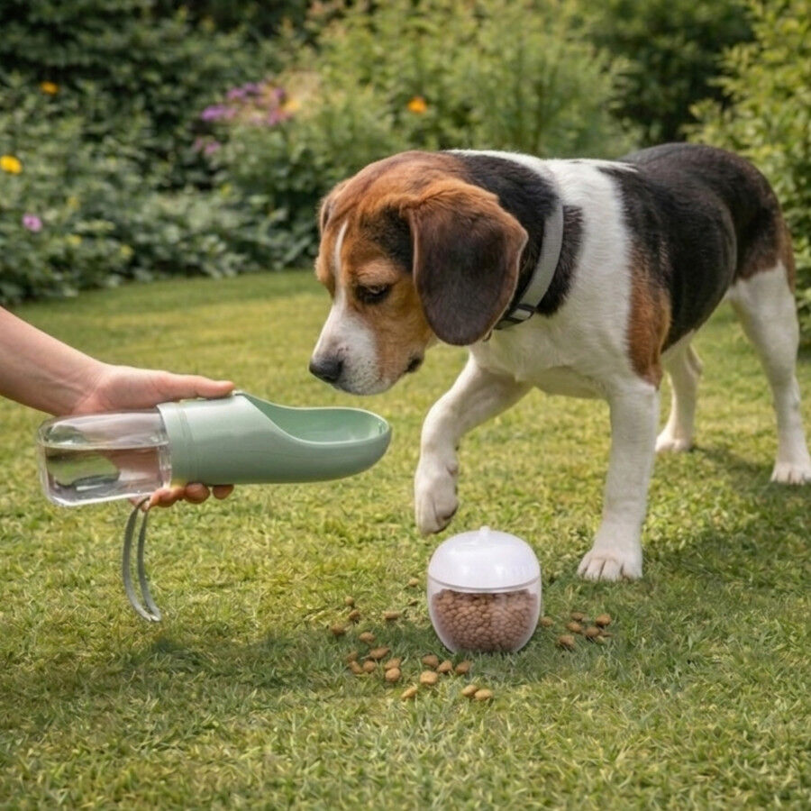 Gotoo Bebedouro e Comedouro Port&aacute;til 2 em 1 para c&atilde;es e gatos, , large Imagem n&uacute;mero 1