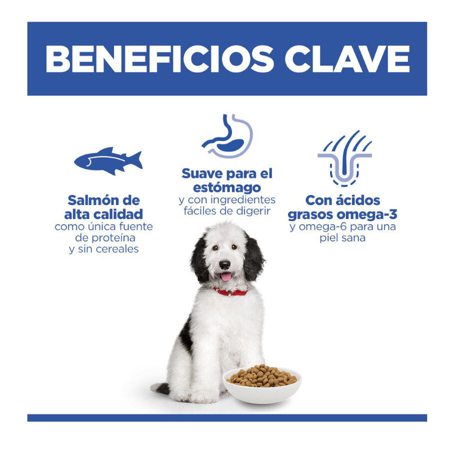 14 kg Hill's Science Plan Hipoalerg&eacute;nico Large Salm&atilde;o ra&ccedil;&atilde;o para c&atilde;es, , large Imagem n&uacute;mero 4