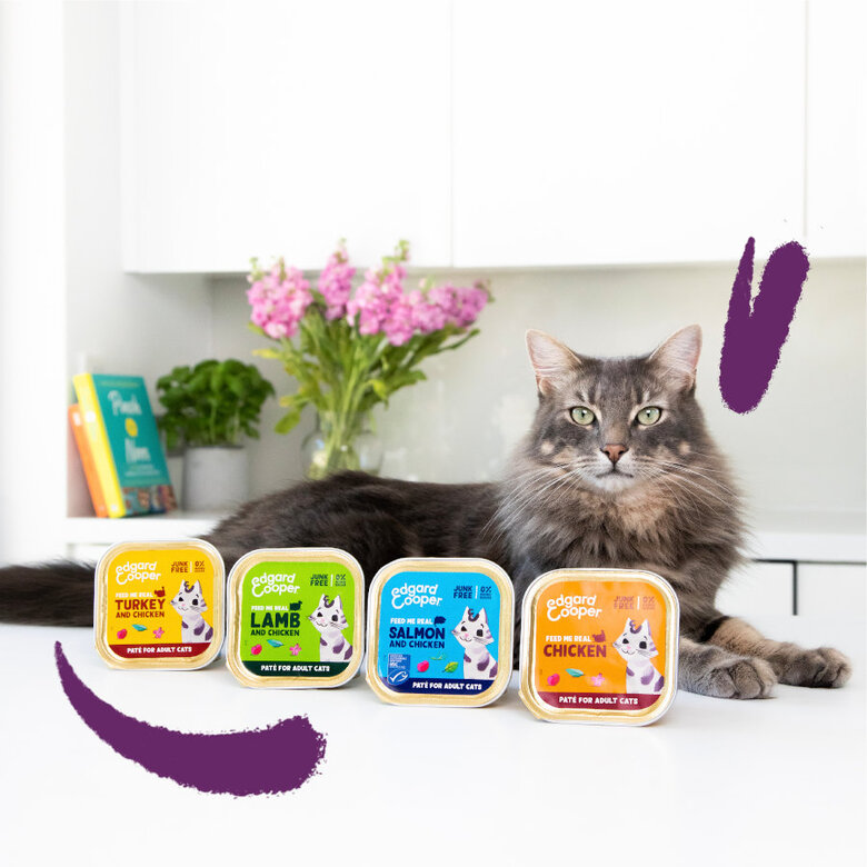 8 terrinas x 85 g Edgard & Cooper Terrina em Paté para gatos,  Imagem número 3 8 terrinas x 85 g Edgard & Cooper Terrina em Paté para gatos, , large Imagem número 3