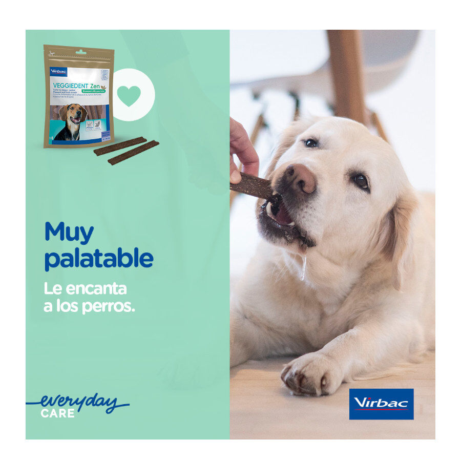 15 sticks Virbac L&aacute;minas Veggiedent Zen S para c&atilde;es, , large Imagem n&uacute;mero 8
