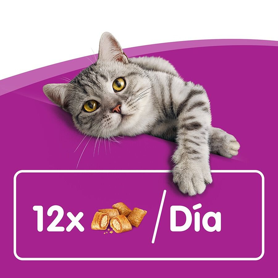 60 g Whiskas Temptations Snacks Salm&atilde;o para Gatos&nbsp;, , large Imagem n&uacute;mero 6