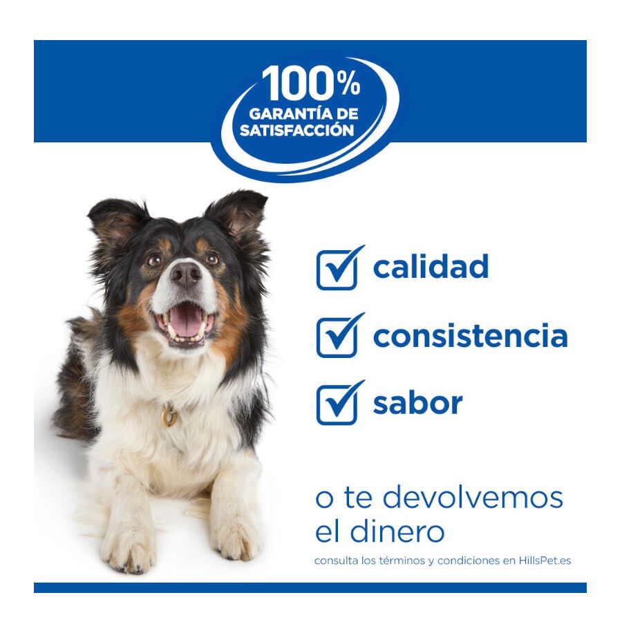 2 x 14 kg Hill's Science Plan Adult Medium Frango ra&ccedil;&atilde;o para c&atilde;es Pack poupan&ccedil;a!, , large Imagem n&uacute;mero 11
