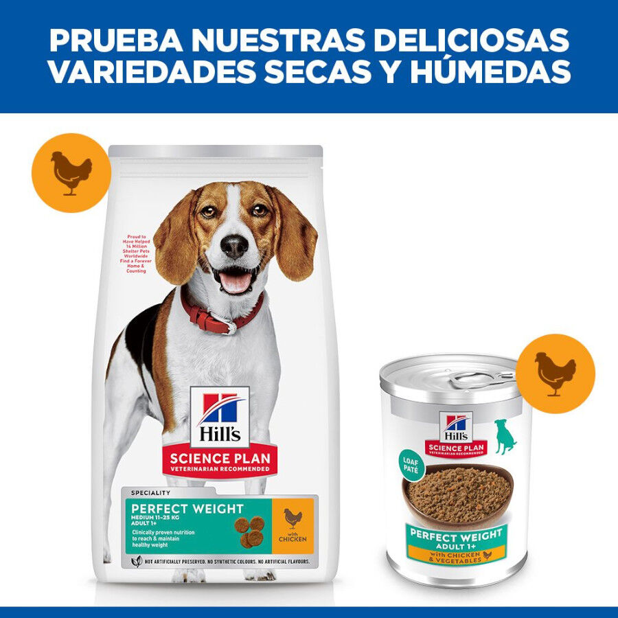 363 g Hill's Adult Perfect Weight Frango e legumes lata para c&atilde;es, , large Imagem n&uacute;mero 6