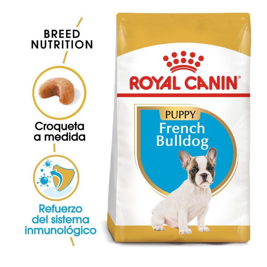 10 kg Royal Canin Puppy Bulldog Franc&ecirc;s ra&ccedil;&atilde;o para c&atilde;es, , large Imagem n&uacute;mero 2