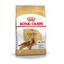 12 kg Royal Canin Adult Cocker ração para cães, , large Indicador imagem número 1